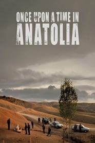 Once Upon a Time in Anatolia 🎬
