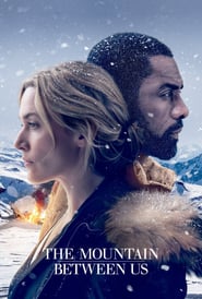 The Mountain Between Us 🎬
