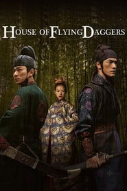 House of Flying Daggers 🎬
