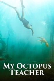 My Octopus Teacher 🎬